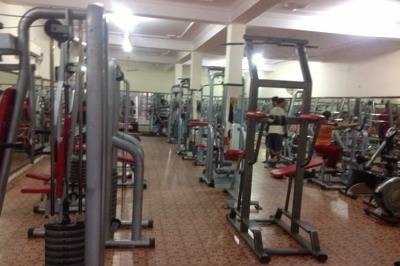 Iron Palace The Ultimate Fitness Destination